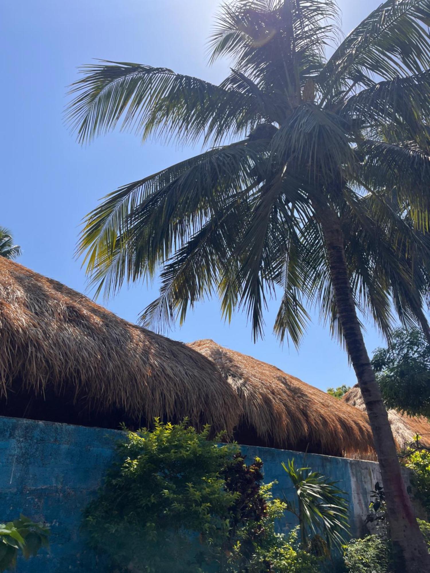 Hotel Crystal Bay Arugam Bay Exterior foto